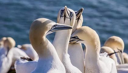 云开体育-【西甲】瓦伦西亚打进3粒点球！皇马客场1比4惨败